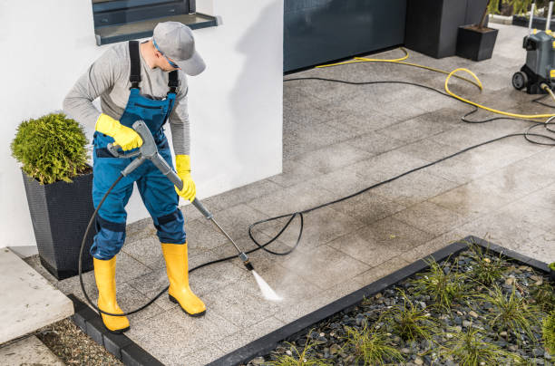 Best Local Pressure Washing Services  in Mayer, AZ