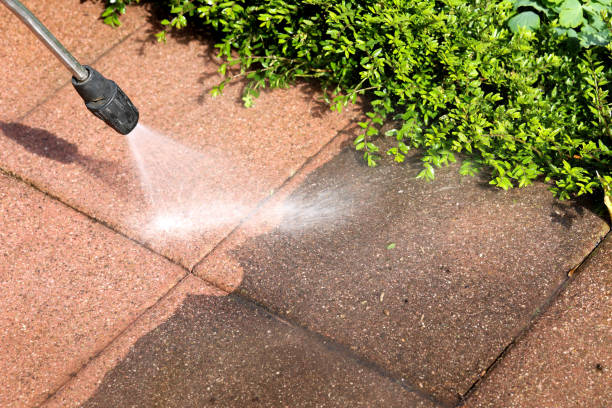 Best Concrete Pressure Washing  in Mayer, AZ